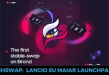 AshSwap: nuovo progetto su Maiar Launchpad