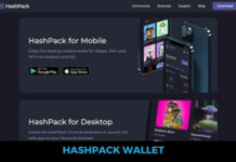 Hashpack: wallet per Hedera Hashgraph