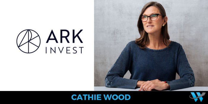 Cathie Wood di Ark Invest