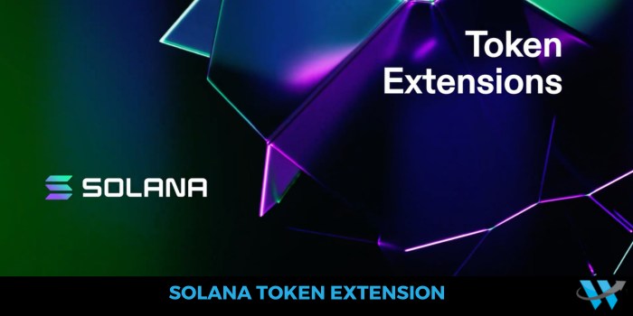Solana Token Extension