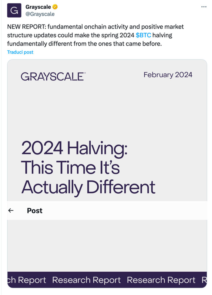 Report su Halving di Grayscale